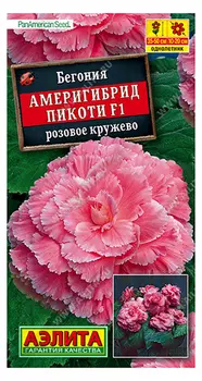 Бегония "Аэлита" Америгибрид Пикоти F1 розовое кружево 5шт