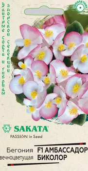 Бегония "Гавриш" Амбассадор Биколор F1 5шт