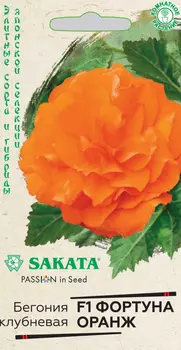 Бегония "Гавриш" Фортуна Оранж F1 4шт