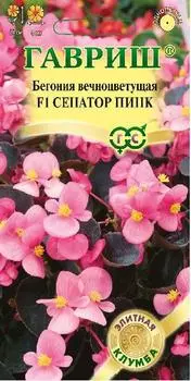 Бегония "Гавриш" Сенатор Пинк F1 4шт