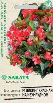 Бегония "Гавриш" Викинг красная на изумрудном F1 4шт