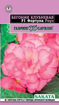 Бегония клубневая "Гавриш" Фортуна Роуз F1 4шт
