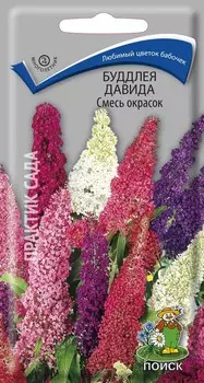 Буддлея Давида "Поиск" Смесь окрасок 10шт