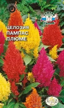 Целозия "Седек" Пампас плюме 0,2г
