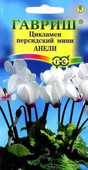 Цикламен "Гавриш" Анели персидский мини 3шт