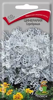 Цинерария "Поиск" Серебряная 0,2г