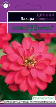 Цинния "Гавриш" Захара вишневая 6шт