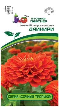 Цинния георгиновидная "Партнер" Дайкири F1 4шт