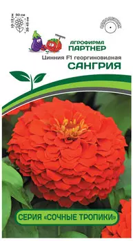 Цинния георгиновидная "Партнер" Сангрия F1 4шт
