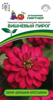 Цинния "Партнер" Вишнёвый пирог 5шт