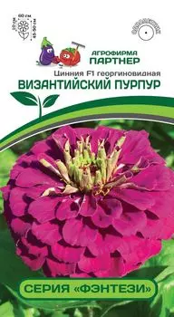 Цинния "Партнер" Византийский пурпур F1 4шт