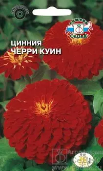 Цинния "Седек" Черри Куин 0,5г