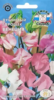 Душистый горошек "Седек" Венеция 1г