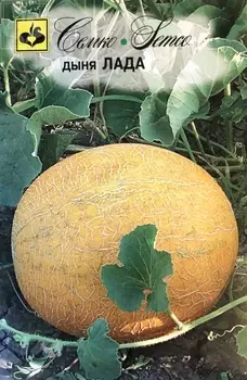 Дыня "Семко" Лада 1г