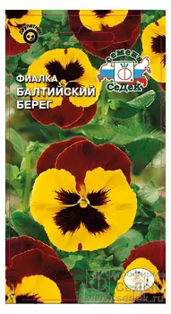Фиалка "Седек" Балтийский берег 5шт