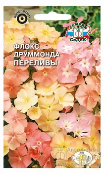Флокс "Седек" Друммонда переливы 0,2г