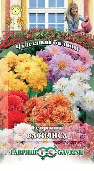 Георгина "Гавриш" Василиса 0,3г