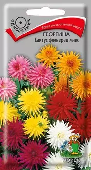 Георгина "Поиск" Кактус фловеред микс 0,2г
