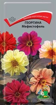 Георгина "Поиск" Мефистофель 0,2г
