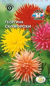 Георгина "Седек" Скоморохи 0,2г