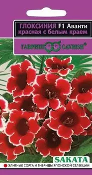 Глоксиния "Гавриш" Аванти красная с белым краем F1 5шт