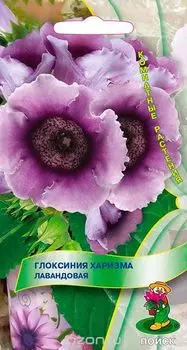 Глоксиния "Поиск" Харизма лавандовая 5шт