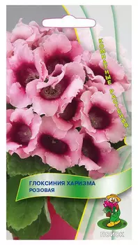 Глоксиния "Поиск" Харизма Розовая 5шт