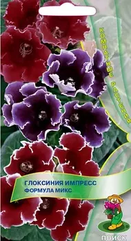 Глоксиния "Поиск" Импресс формула микс 5шт