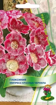 Глоксиния "Поиск" Импресс красные чернила 5шт