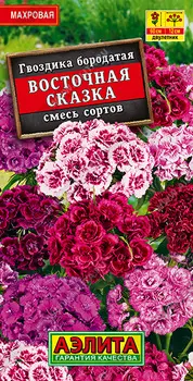 Гвоздика "Аэлита" Восточная сказка турецкая махровая, смесь сортов 0,5г