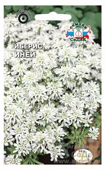 Иберис "Седек" Иней 0,5г