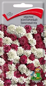 Иберис зонтичный "Поиск" Гранатовый лёд 0,1г