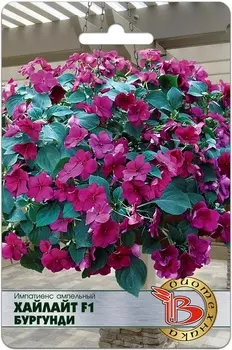 Импатиенс "Биотехника" Хайлайт F1 Бургунди 10шт