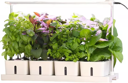 Интеллектуальная комбинированная плантация "Green Helper" на 8 мест GZ306-8