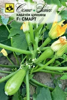 Кабачок цуккини "Семко" Смарт F1 5шт