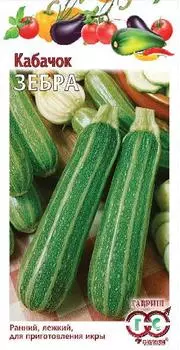 Кабачок "Гавриш" Зебра 2г