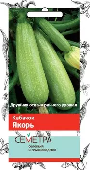 Кабачок "Поиск" Якорь Семетра 2г