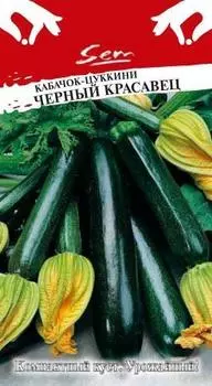 Кабачок "Русский огород" Черный красавец 2г