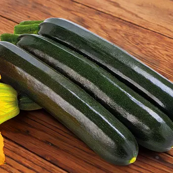 Кабачок "Сады России" Сальвадор F1 5шт