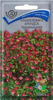 Камнеломка "Поиск" Арендса Пурпуный ковер 0,01г