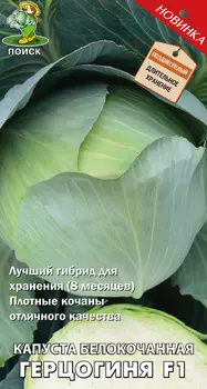 Капуста б/к "Поиск" Герцогиня F1 0,2г