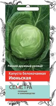 Капуста б/к "Поиск" Июньская 0,5г