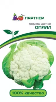 Капуста цветная "Партнер" Опаал 10шт