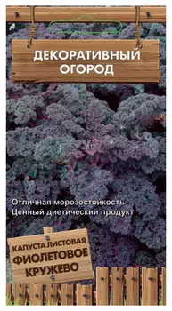 Капуста листовая "Поиск" Фиолетовое кружево 0,1г