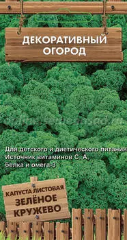 Капуста листовая "Поиск" Зеленое кружево 0,1г