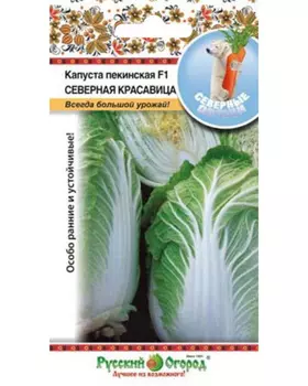 Капуста пекинская "Русский огород" Северная красавица F1 50шт