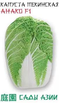 Капуста пекинская "Сады Азии" Анако F1 10шт