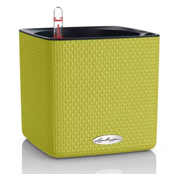 Кашпо "LECHUZA" Cube Color 14 лайм