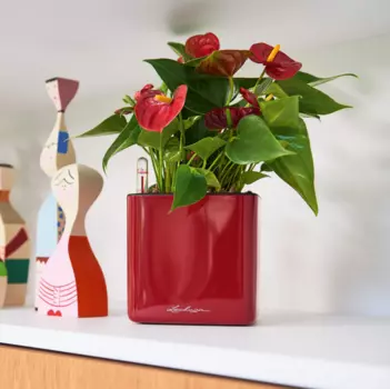 Кашпо "LECHUZA" Cube Glossy 14 красный 0,4л