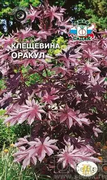 Клещевина "Седек" Оракул 1г